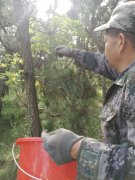 释放你的力量：在非官方dnf私服中体验无